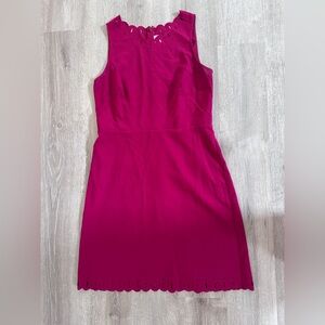 LOFT Fuchsia Scalloped Dress